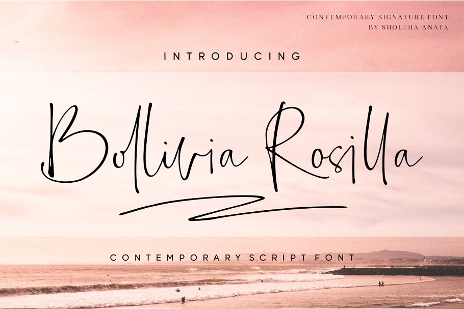 Bollivia Rosilla